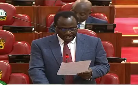 WEST MUGARANGO MP STEVE MOGAKA RAISES CONCERN OVER DELAYS IN RETIREMENT BENEFITS PAYMENTS