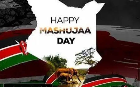 KENYA’S NATIONAL HOLIDAYS ARE PUTTING COUNTIES ON THE DEVELOPMENT MAP BUT AT WHAT COST?