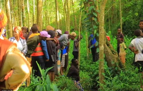 TRAGEDY IN NYAMIRA: 19-YEAR-OLD KEMASARE LEARNER CLINTON ONSOMU FOUND DEAD IN SASATI RIVER  