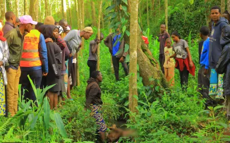 19-YEAR-OLD KEMASARE STUDENT FOUND TIED AND DEAD IN SASATI RIVER AFTER THEFT ALLEGATIONS