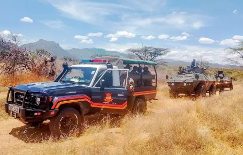 370 STOLEN GOATS AND SHEEP RECOVERED IN TURKANA BANDITRY OPERATION