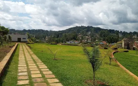 NYAMBERA DUMPSITE RENAMED ETAYA GOVERNOR’S PARK: BUT WAS THE NAME CHANGE NECESSARY?