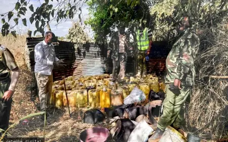 MULTI-AGENCY CRACKDOWN DESTROYS 3,660 LITRES OF ILLICIT BREW IN MARSABIT