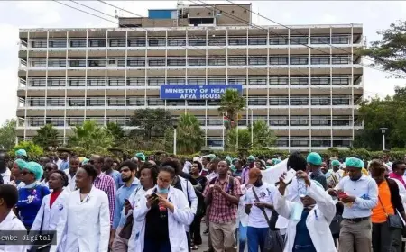 NURSES’ STRIKE RAISES ALARM AS 533 MATERNAL AND PERINATAL DEATHS RECORDED