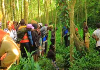 TRAGEDY IN NYAMIRA: 19-YEAR-OLD KEMASARE LEARNER CLINTON ONSOMU FOUND DEAD IN SASATI RIVER  
