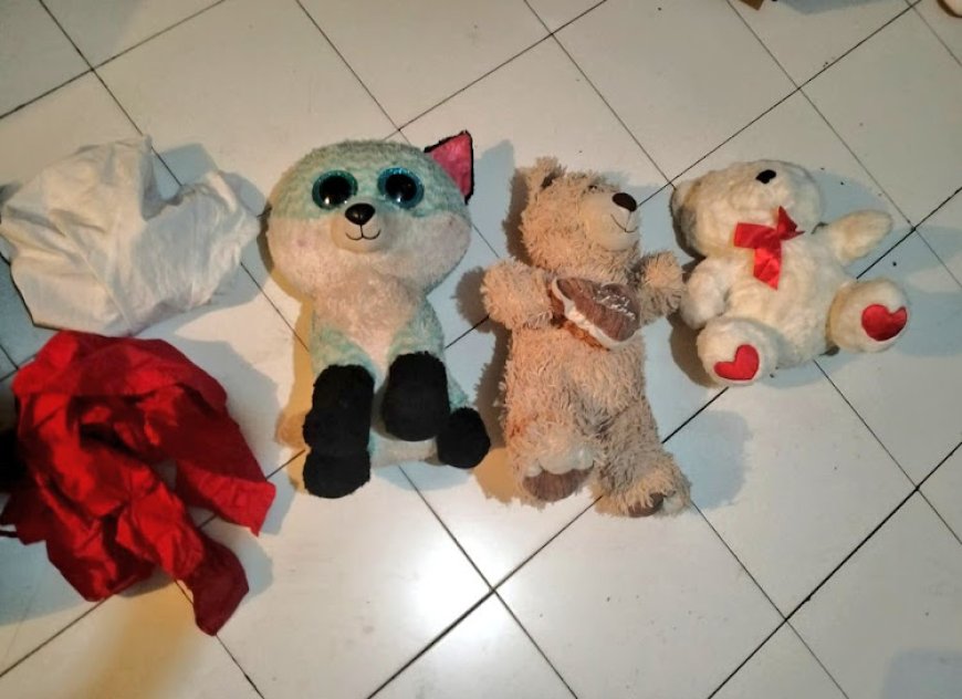 Three suspects arrested with 298 pellets of cocaine  hidden in teddy bears