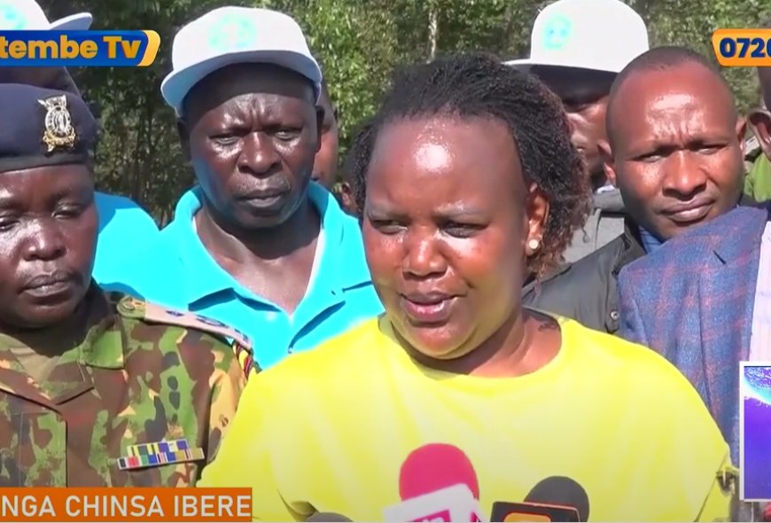 Nyamira county surpasses national tree planting targets