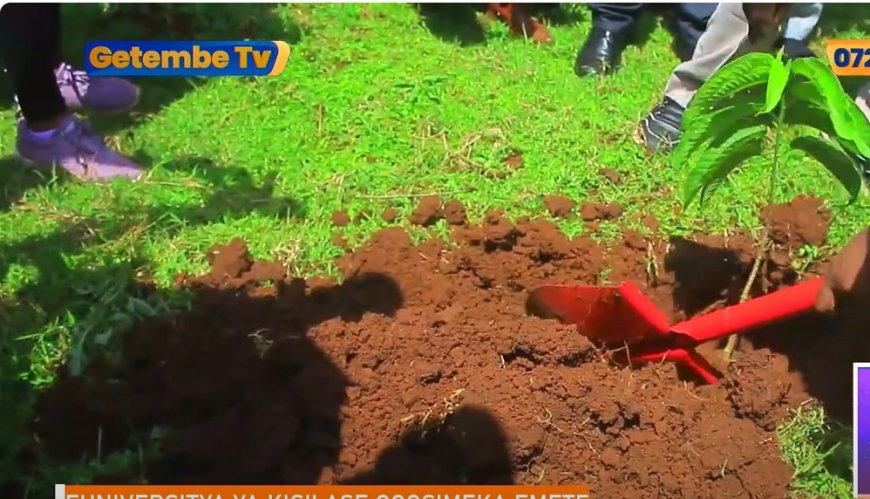 Kisii University Leads Tree Planting Initiative to Support National Reforestation Goals.