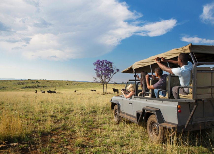 Top destinations for an Unforgettable Safari Adventure