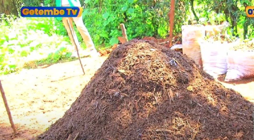 Biovision Liaise with Kilimo Hai to teach Mesisita locals on using organic manure