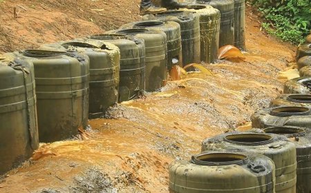 Government itensifies crackdown on illicit brew and narcotic drugs