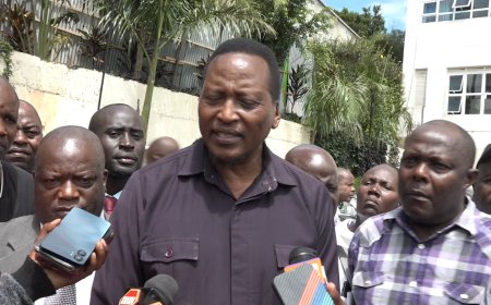 Senate oversight team attacked in Kisii county