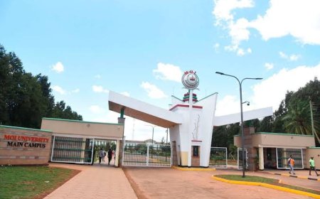 Education Committee Meets University Union Over Staff Welfare Challenges at Moi University