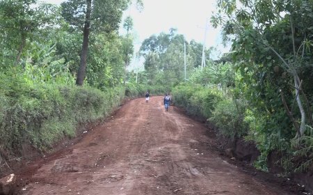 Expansion of road project sparks outcry over land rights