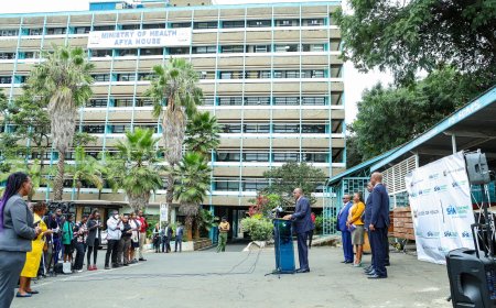 Taifa care attracts more than 1.8 million informal workers