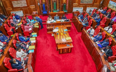 Nyamira county MCA's ordered to revisit budget.