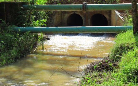 Residents in shock after slain man found in a river