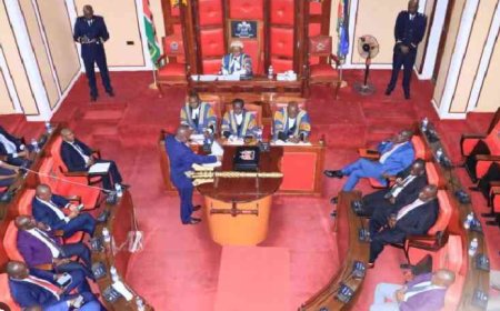 Bokeira residents celebrate removal of Member of County Assembly