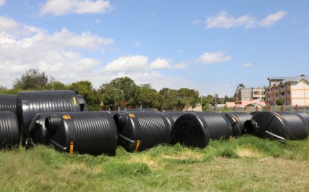 Water Tanks for Women and Schools in Laikipia