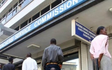 Career growth of curriculum support officers in Kenya