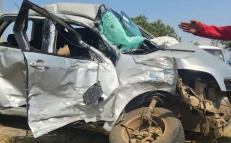 Nyandarua MCA Beth Wahito dies in a road accident