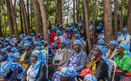 Leaders mark International Widows day in Nyamira and Kisii