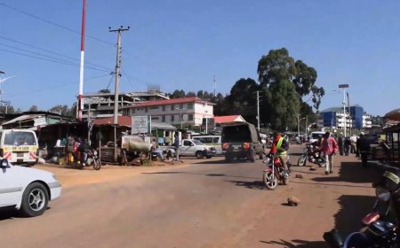 Gen Z's in Nyamira opt out of protest
