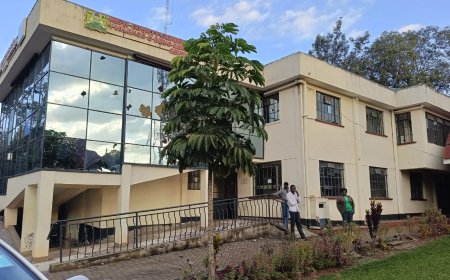 Vandalism of Kisii Woman Rep's office
