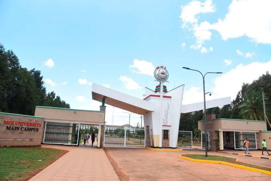 Education Committee Meets University Union Over Staff Welfare Challenges at Moi University