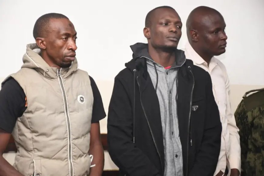 Three suspects pleaded not guilty in Kasipul MP Charles Ong'ondo Were Murder Case