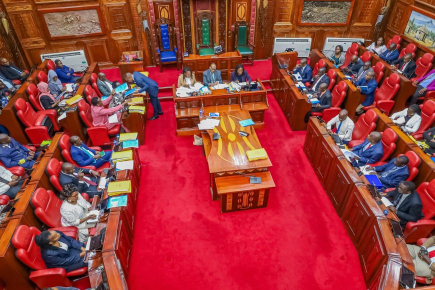 Nyamira county MCA's ordered to revisit budget.