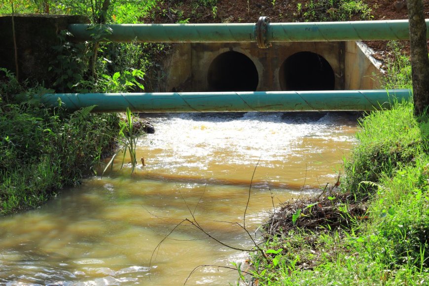 Residents in shock after slain man found in a river