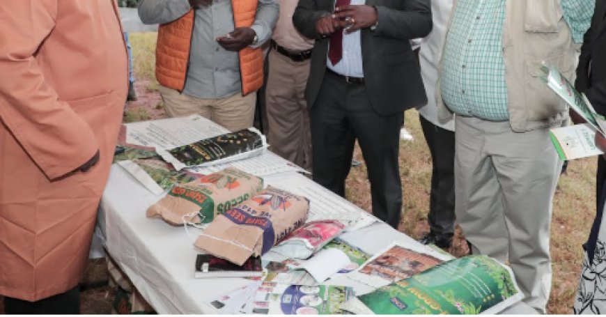 Empowering farmers with modern agricultural .techniques.
