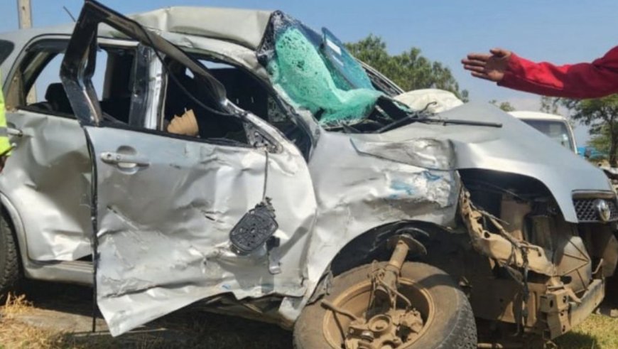 Nyandarua MCA Beth Wahito dies in a road accident