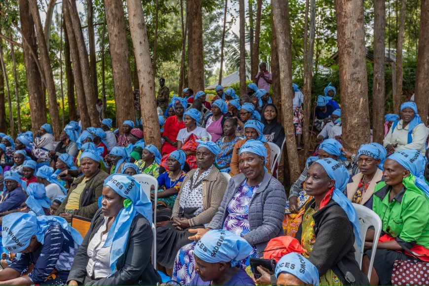 Leaders mark International Widows day in Nyamira and Kisii