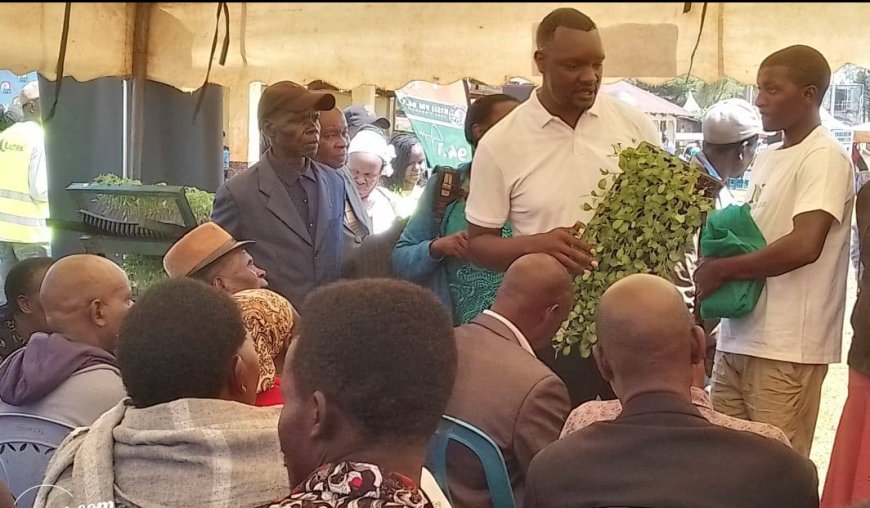 Embracing Modern, Low-Cost Techniques for Higher Yields
