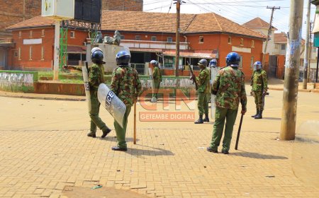 National Police reports  indicate 11 Killed in Monday's Saba Saba protests