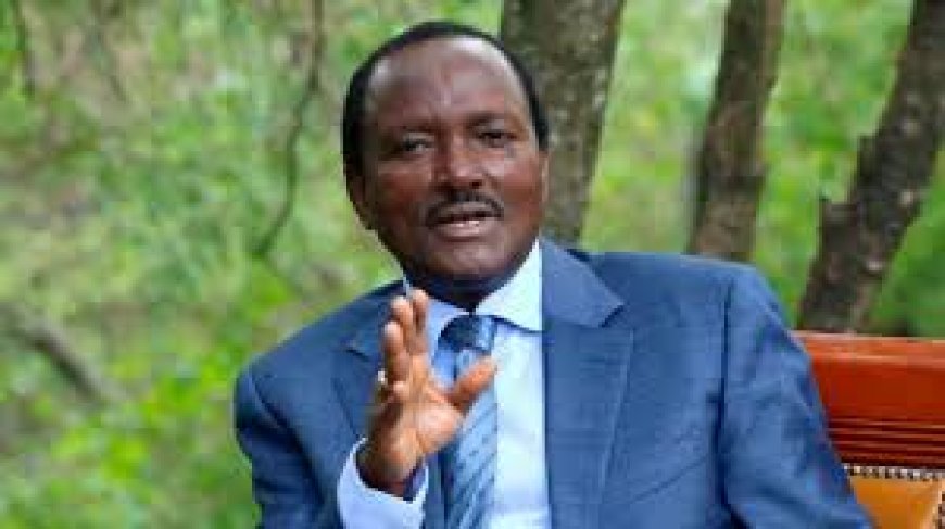 Kalonzo's