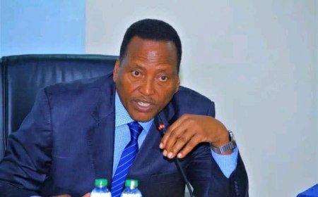 Senator Onyonka calls for audit of Social Health Insurance Payouts