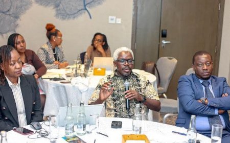 Kenya faces constrained by limited funding in implementation of mental health policy