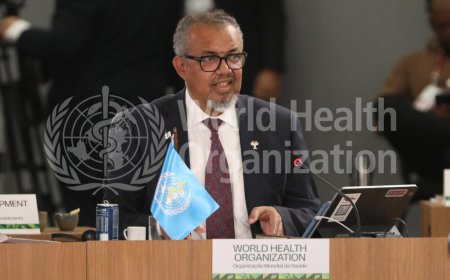 Less 10 percent of mental health affected individuals receive care in low-income Countries