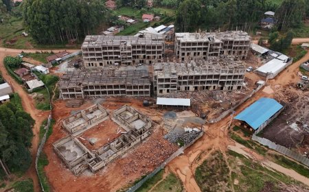 The Nyaribari Masaba Affordable Housing Nears Halfway