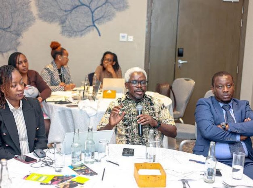 Kenya faces constrained by limited funding in implementation of mental health policy