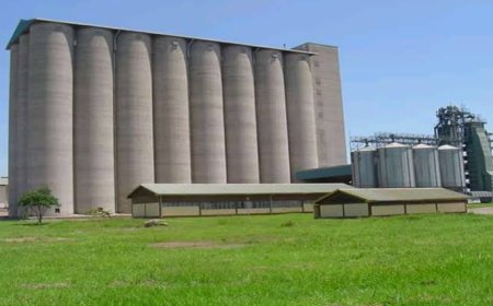 Former NCPB Managing Director acquitted, two officials to face Sh 209 million fake fertilizer charges