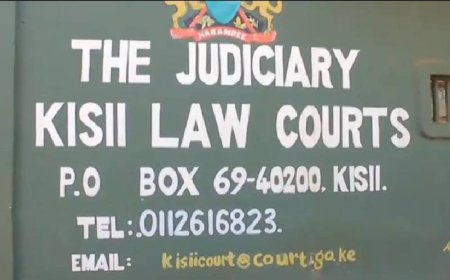Court in Kisii jails woman for selling a one-month-old-baby for Sh 15,000