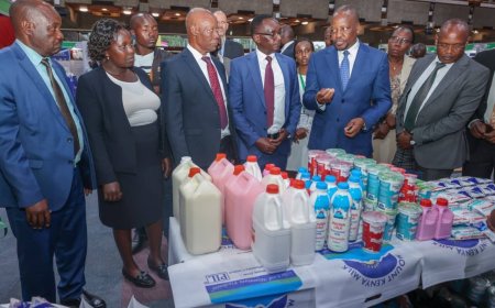 CS Kagwe launches crackdown on aflatoxin in animal feeds