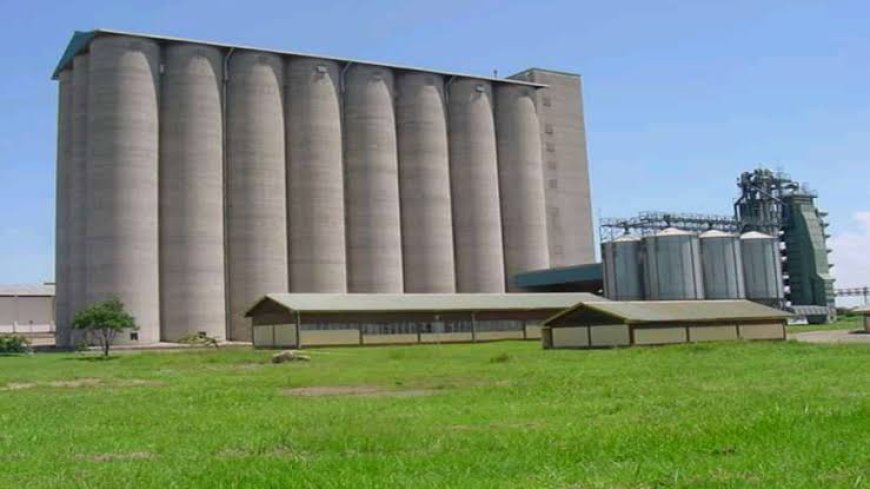 Former NCPB Managing Director acquitted, two officials to face Sh 209 million fake fertilizer charges