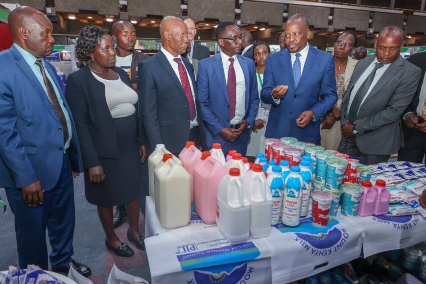 CS Kagwe launches crackdown on aflatoxin in animal feeds