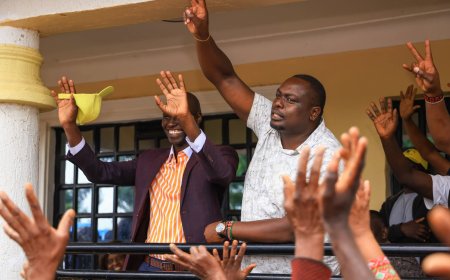 The Government Machinery in Matiangi's Backyard Ahead of By-elections