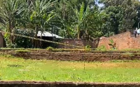 How A 'Drunk' Villager Revealed The Shallow Grave Of Murdered Kisii Granny